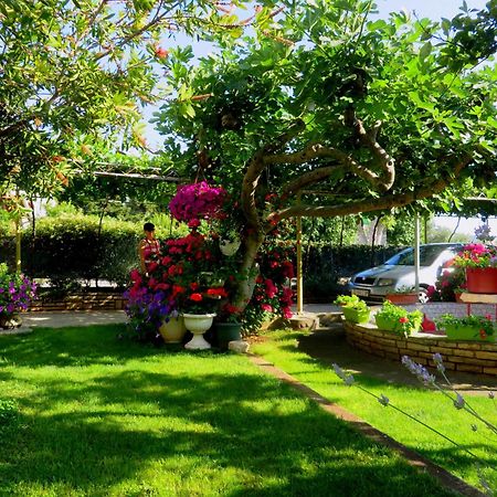 Beach Apartments Roza - The Garden Apartment Биоград на Мору Екстериор снимка