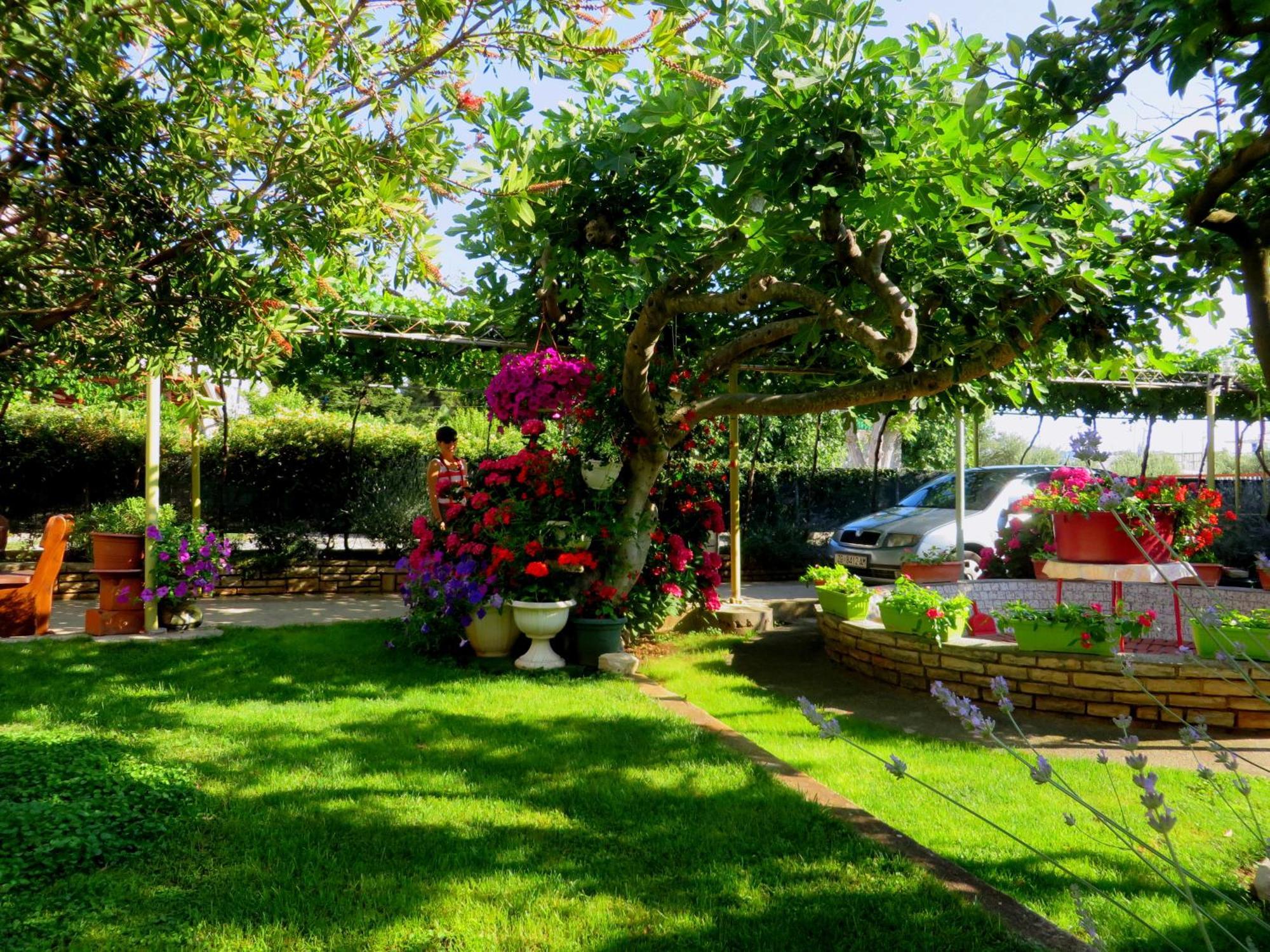 Beach Apartments Roza - The Garden Apartment Биоград на Мору Екстериор снимка